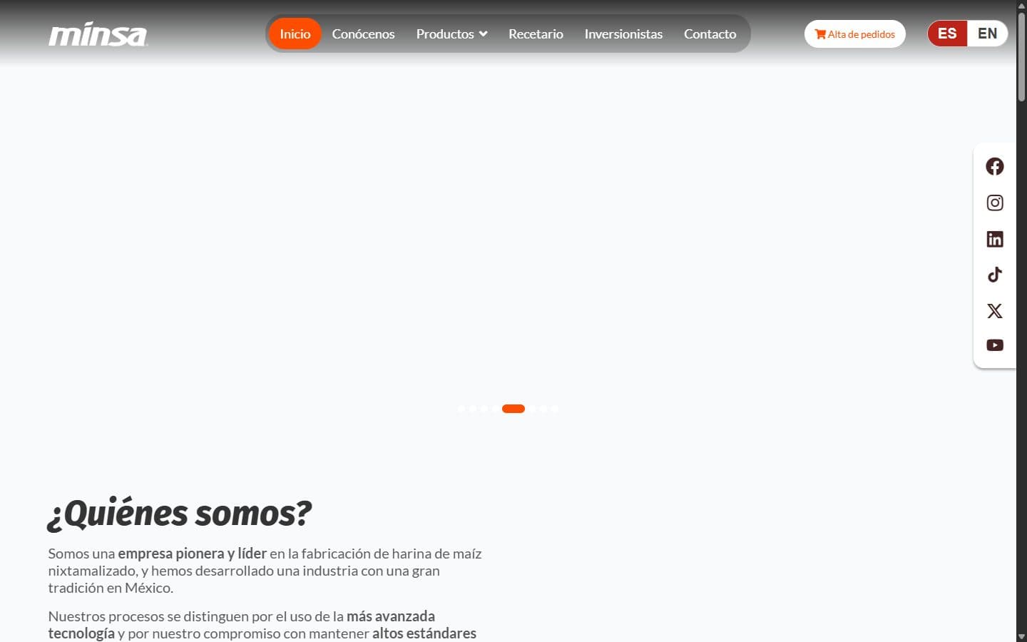 Página de inicio de Minsa